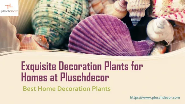 Exquisite Decoration Plants for Homes at Pluschdecor