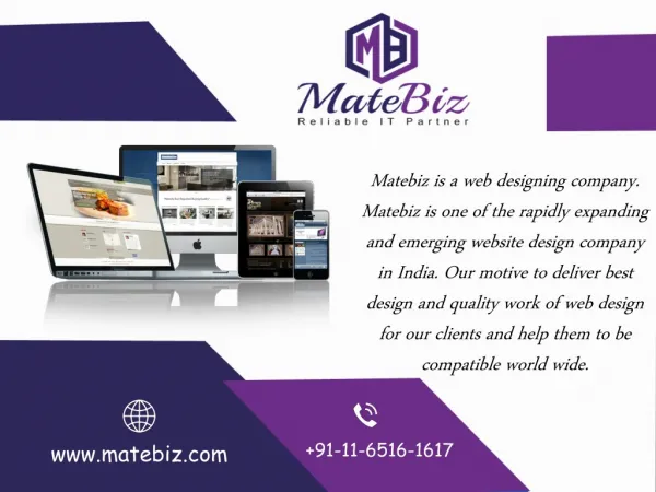 matebiz is a web designing company matebiz