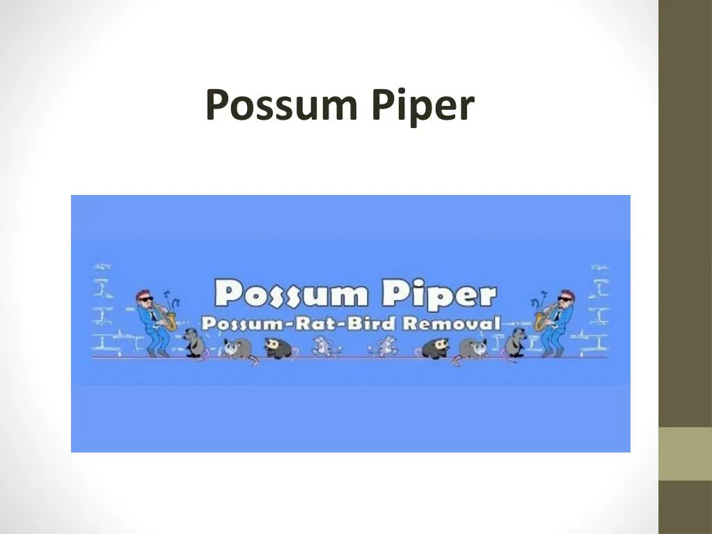 possum piper