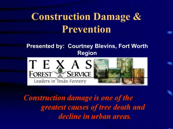 Construction Damage Prevention
