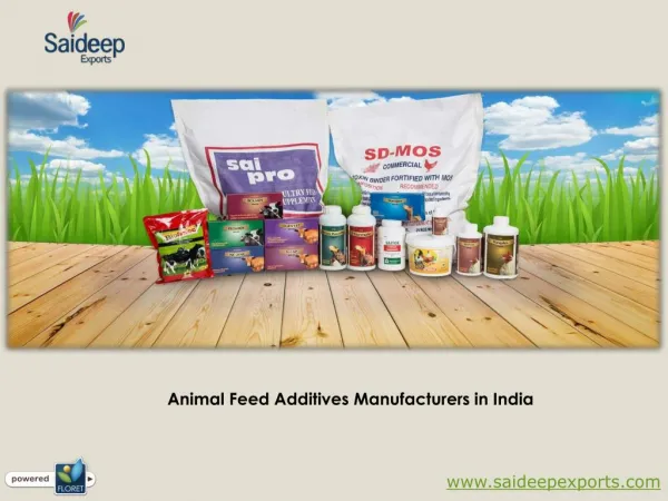 Animal Feed Additives Manufacturers