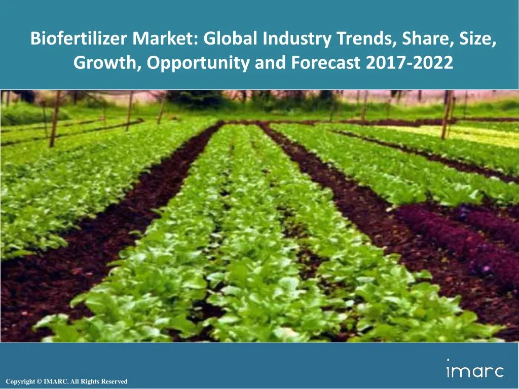 biofertilizer market global industry trends share