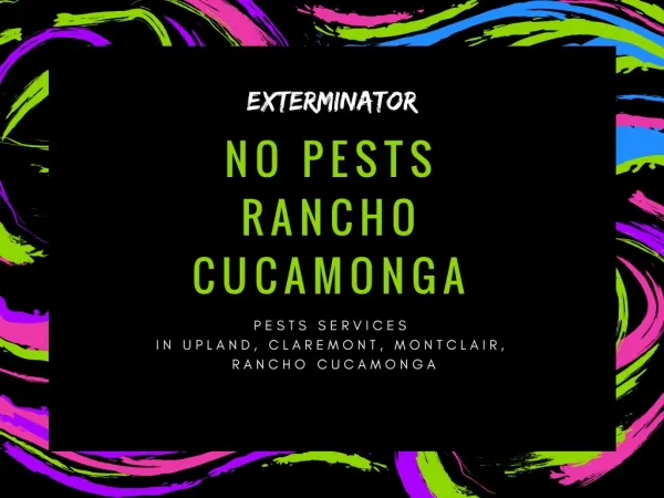 Get Affordable Exterminator Services - No pests Rancho Cucamonga