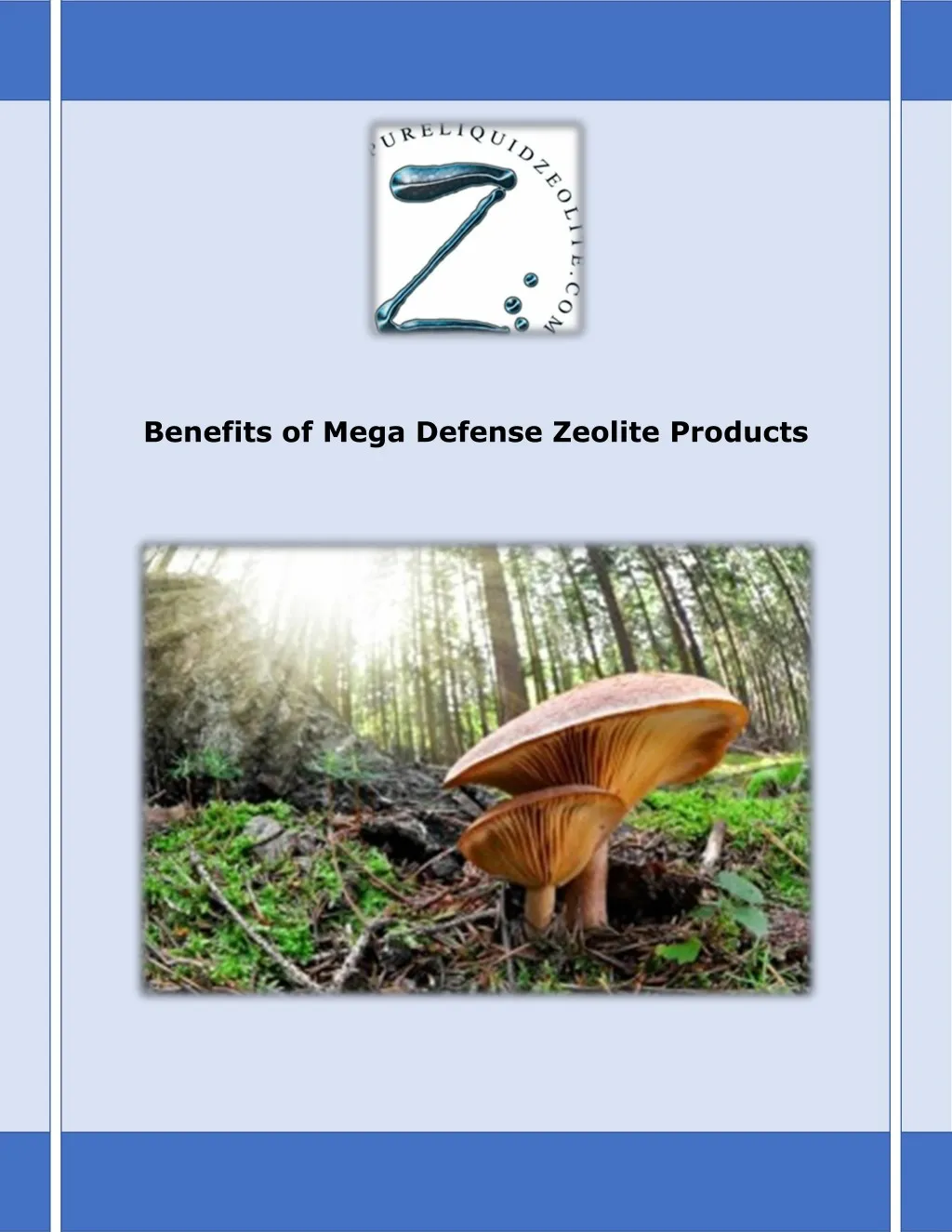 benefits of mega defense zeolite products