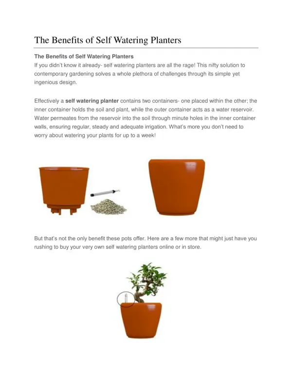 The benefits of self watering planters