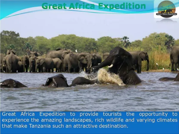 Why should you consider going on a Safari Holidays Tours?