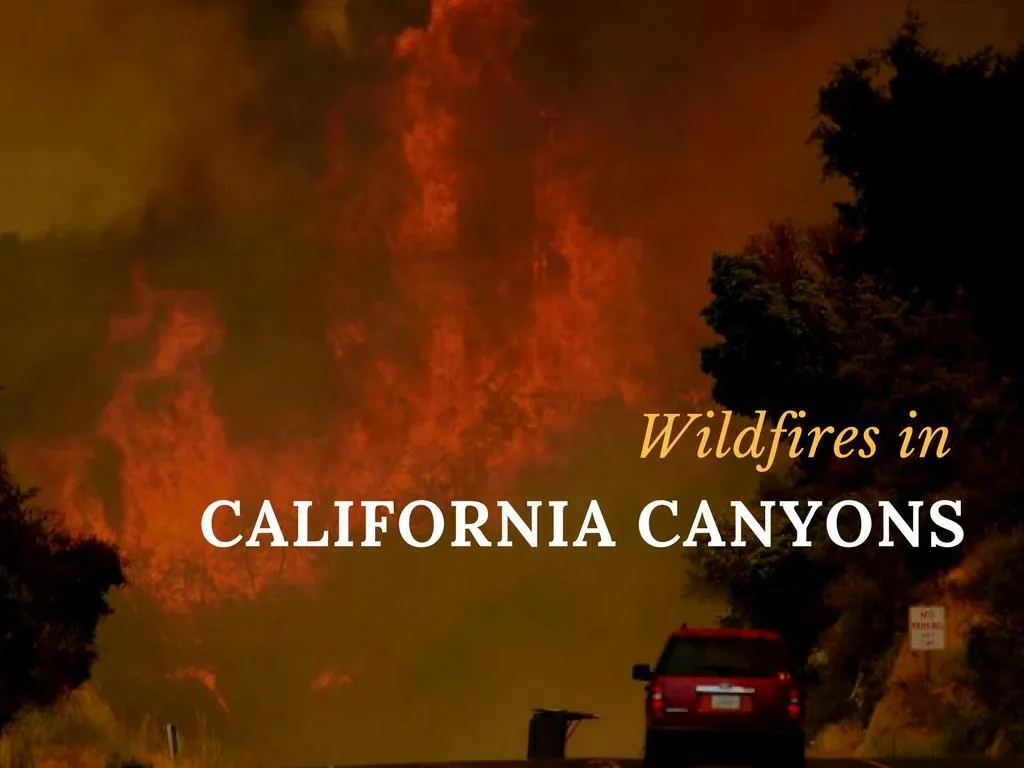 wildfires in california canyons