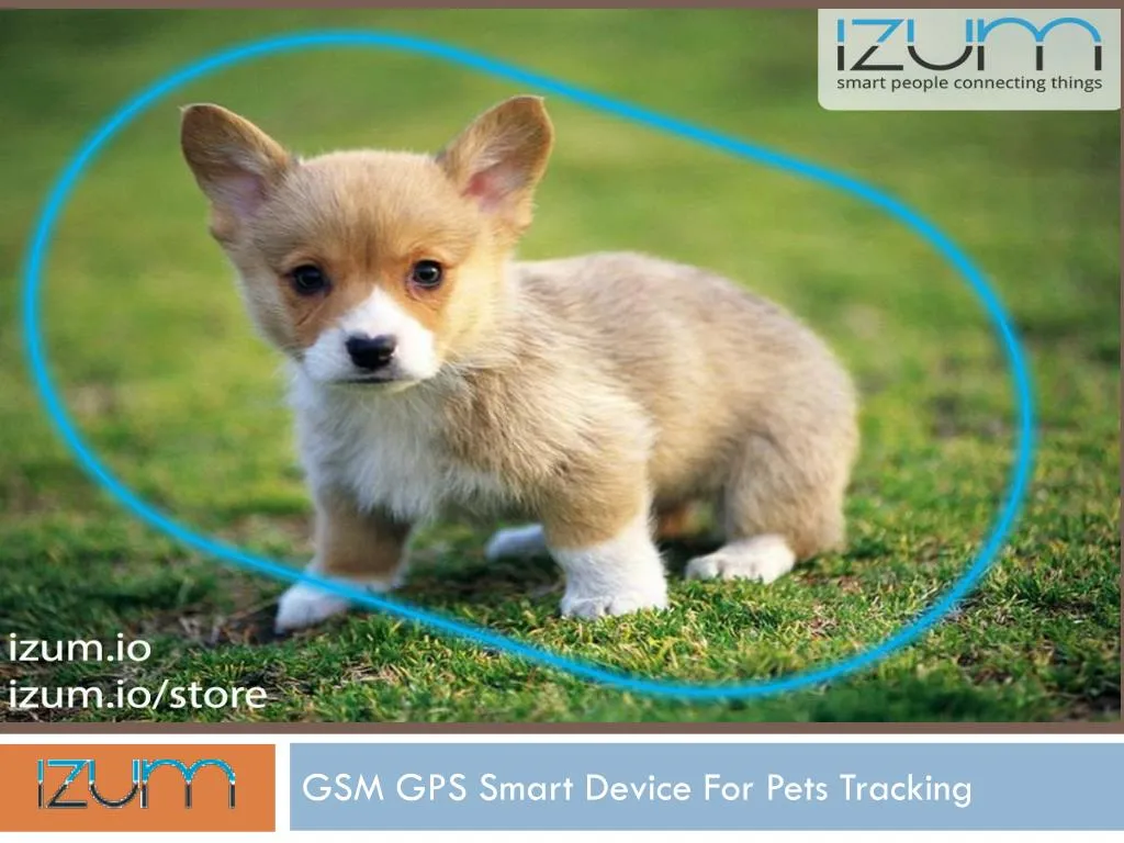 gsm gps smart device for pets tracking
