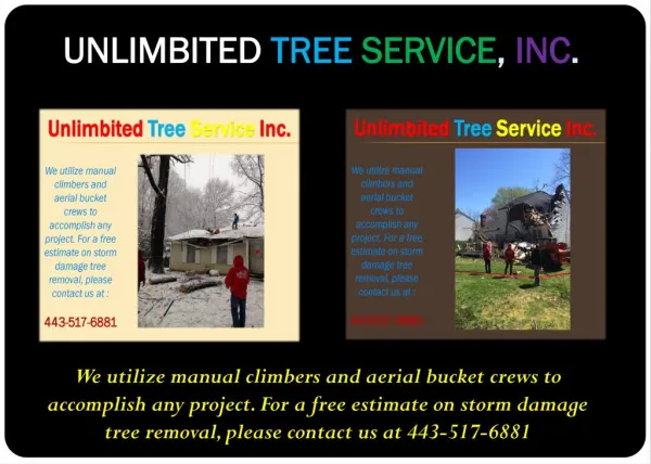 Storm Damage Tree Service Baltimore, MD