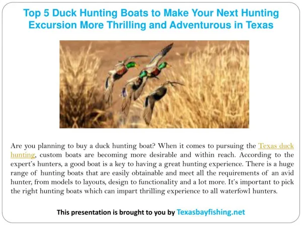 Top 5 Duck Hunting Boats to Make Your Next Hunting Excursion More Thrilling and Adventurous in Texas