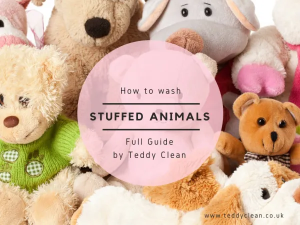 How to Clean Stuffed Animals - Guide by Teddy Clean