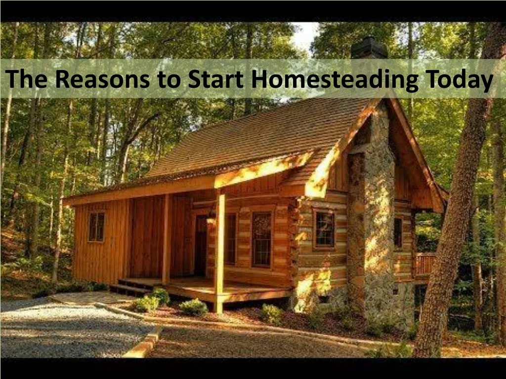 7 reasons to start homesteading today the reasons