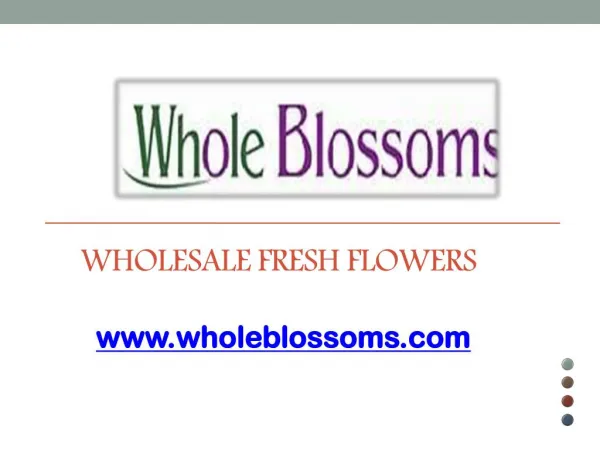 Wholesale Fresh Flowers - www.wholeblossoms.com