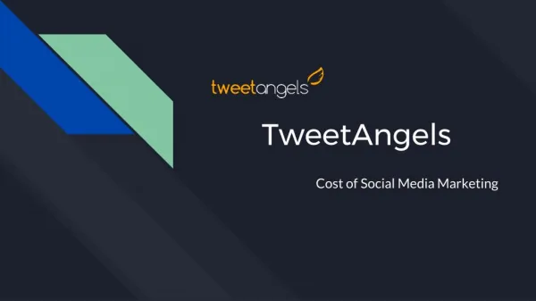 Tweetangels - Cost of Social Media Marketing