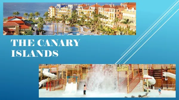 Fall In Love With The Canary Islands