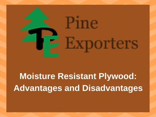 Moisture Resistant Plywood: Advantages and Disadvantages