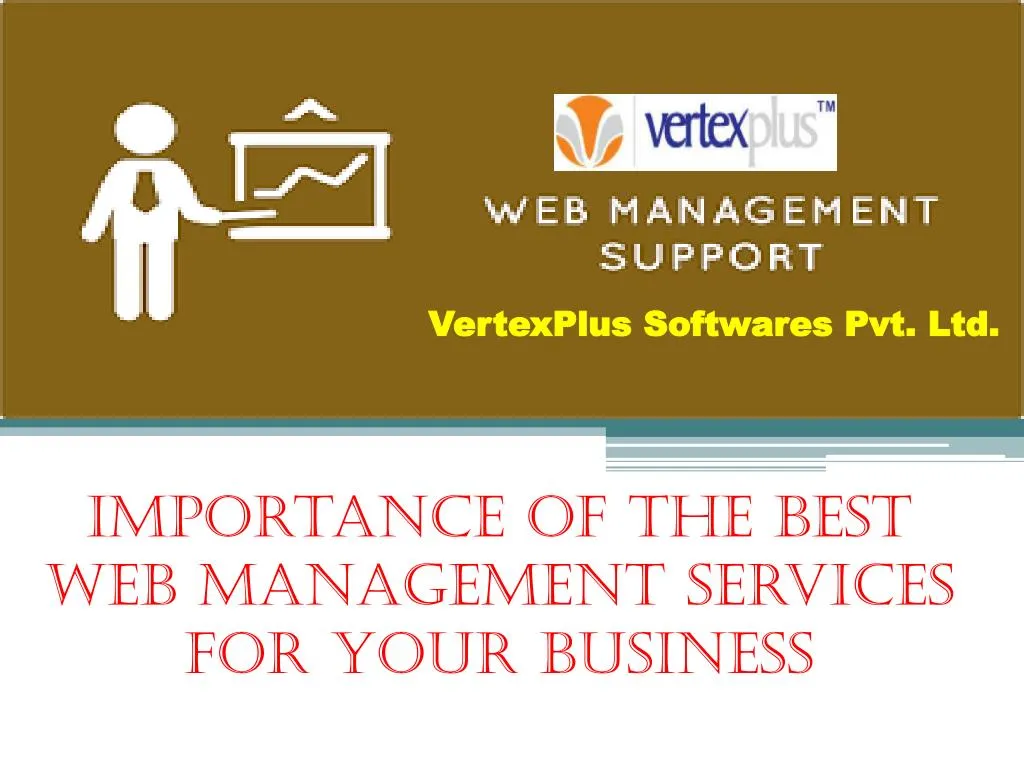 importance of the best web management services for your business