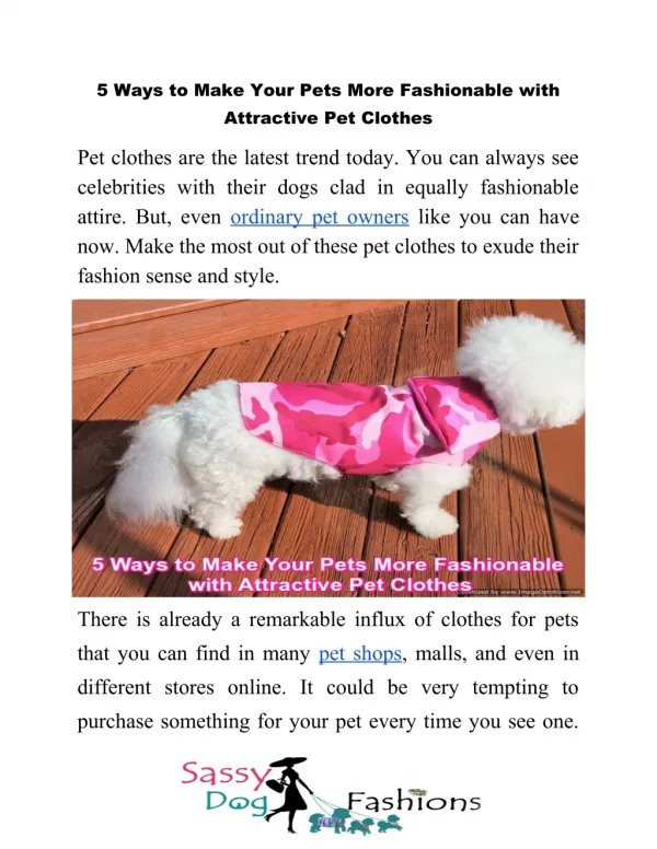 5 Ways to Make Your Pets More Fashionable with Attractive Pet Clothes
