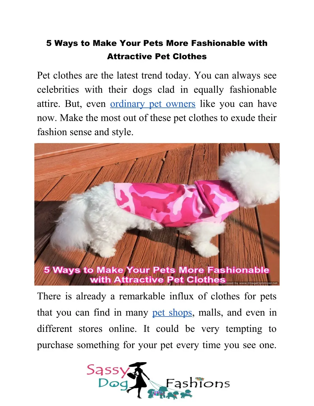 5 ways to make your pets more fashionable with