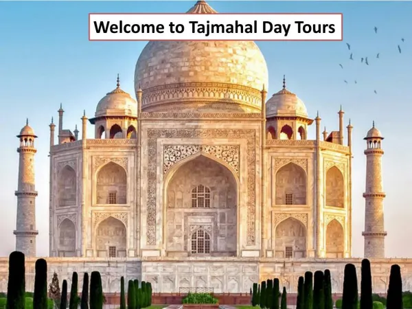 Welcome to Tajmahal Day Tours