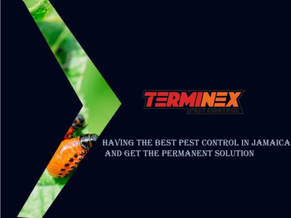 Having the best pest control in Jamaica and get the permanent solution