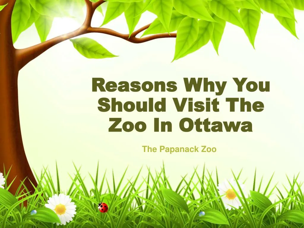 reasons why you should visit the zoo in ottawa