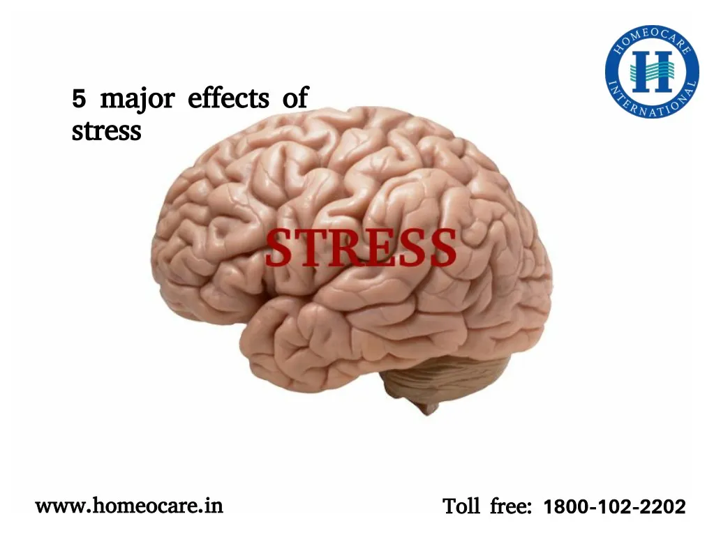 5 major effects of stress stress