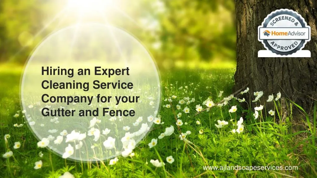hiring an expert cleaning service company