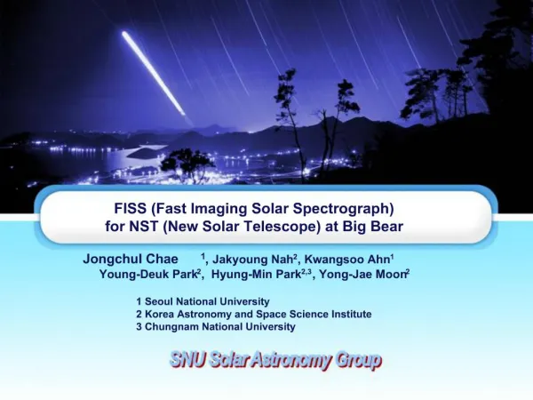 FISS Fast Imaging Solar Spectrograph for NST New Solar Telescope at Big Bear