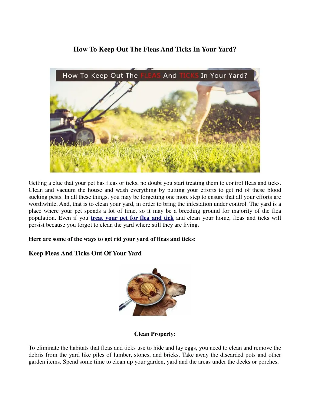 how to keep out the fleas and ticks in your yard