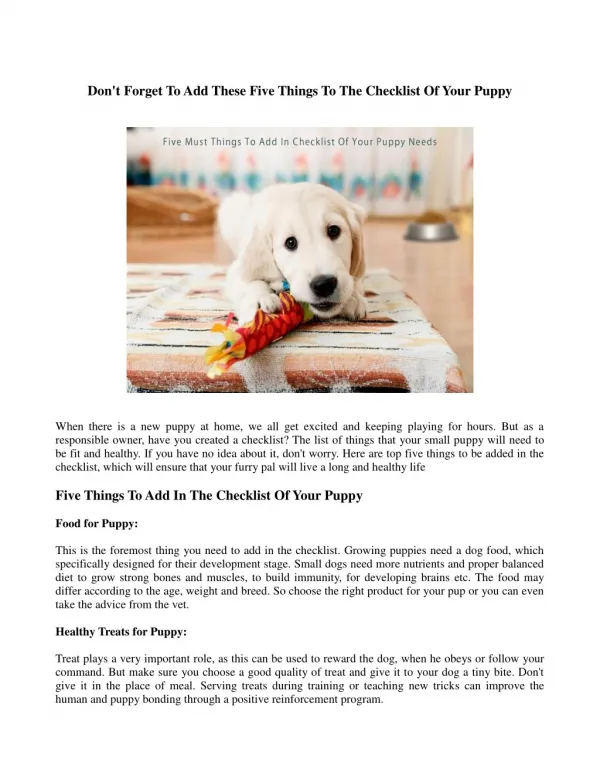 Dont Forget To Add These Five Things To The Checklist Of Your Puppy