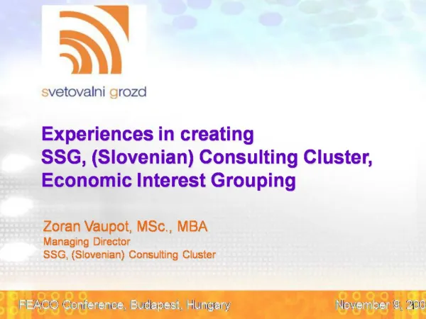 Experiences in creating SSG, Slovenian Consulting Cluster, Economic Interest Grouping