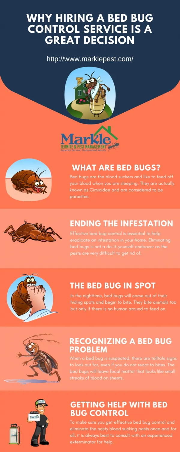 Why Hiring a Bed Bug Control Service Is a Great Decision?