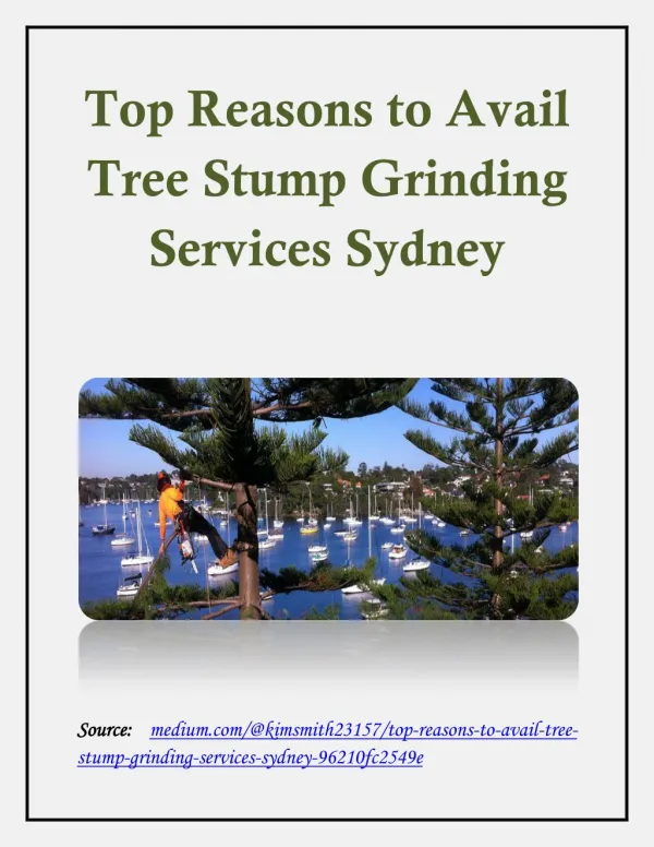 Top Reasons to Avail Tree Stump Grinding Services Sydney