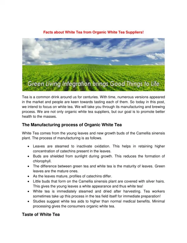 Facts about White Tea from Organic White Tea Suppliers!