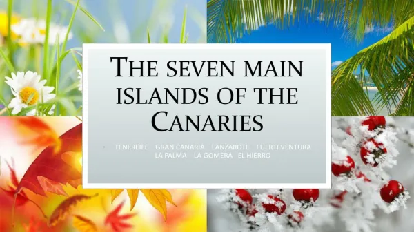 The Seven Main Islands of the Canaries