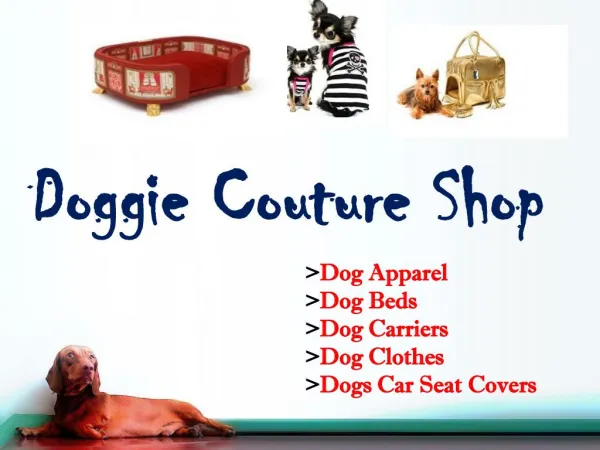 Online Designer Apparel Store for Dog