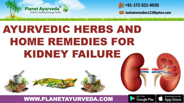 Ayurvedic Herbs and Home Remedies for Kidney Failure