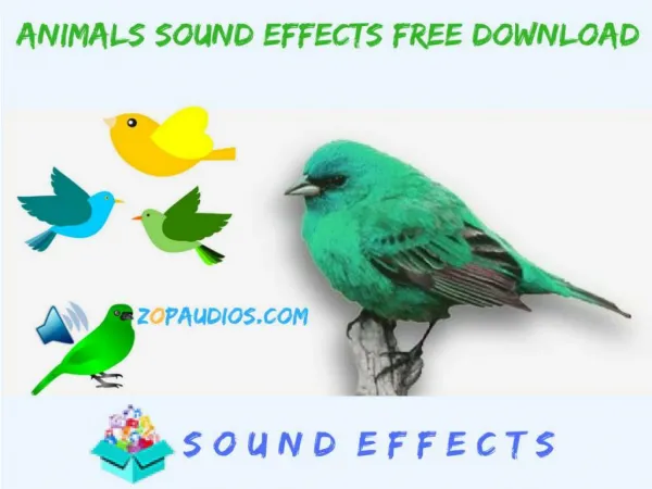 Bird & Animals Sounds Free Download