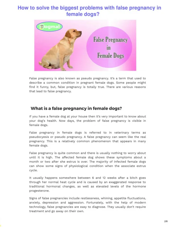 How to solve the biggest problems with false pregnancy in female dogs?