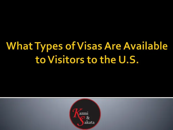 What Types of Visas Are Available to Visitors to the U.S.?
