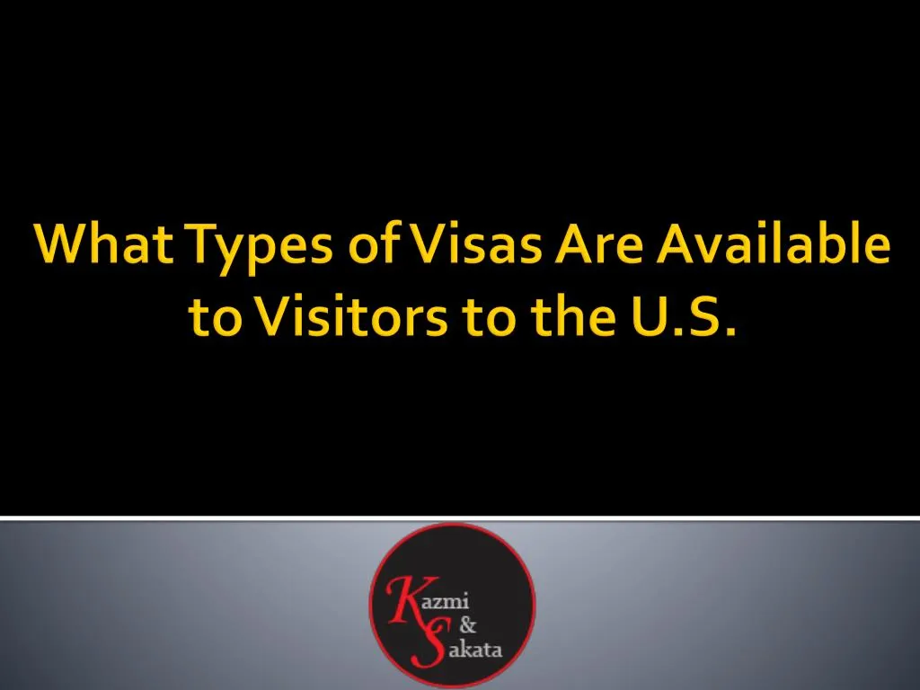 what types of visas are available to visitors to the u s