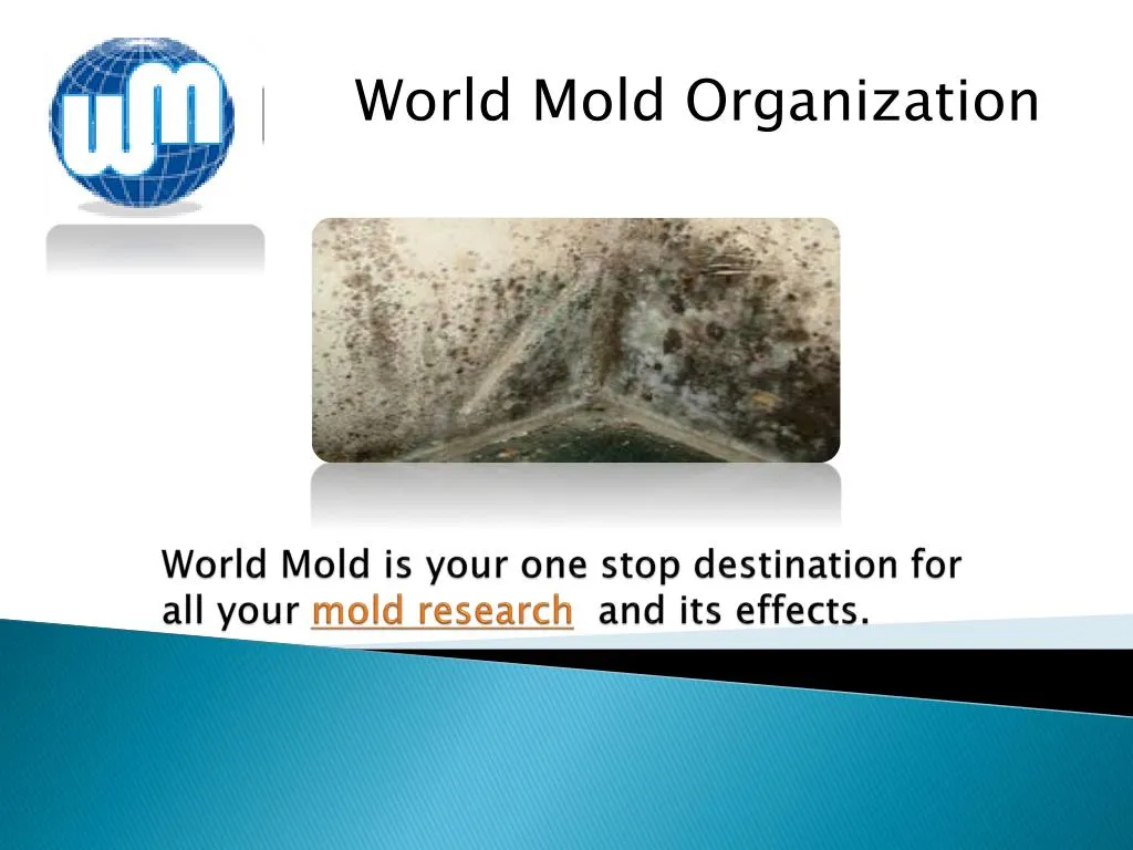 world mold is your one stop destination for all your mold research and its effects