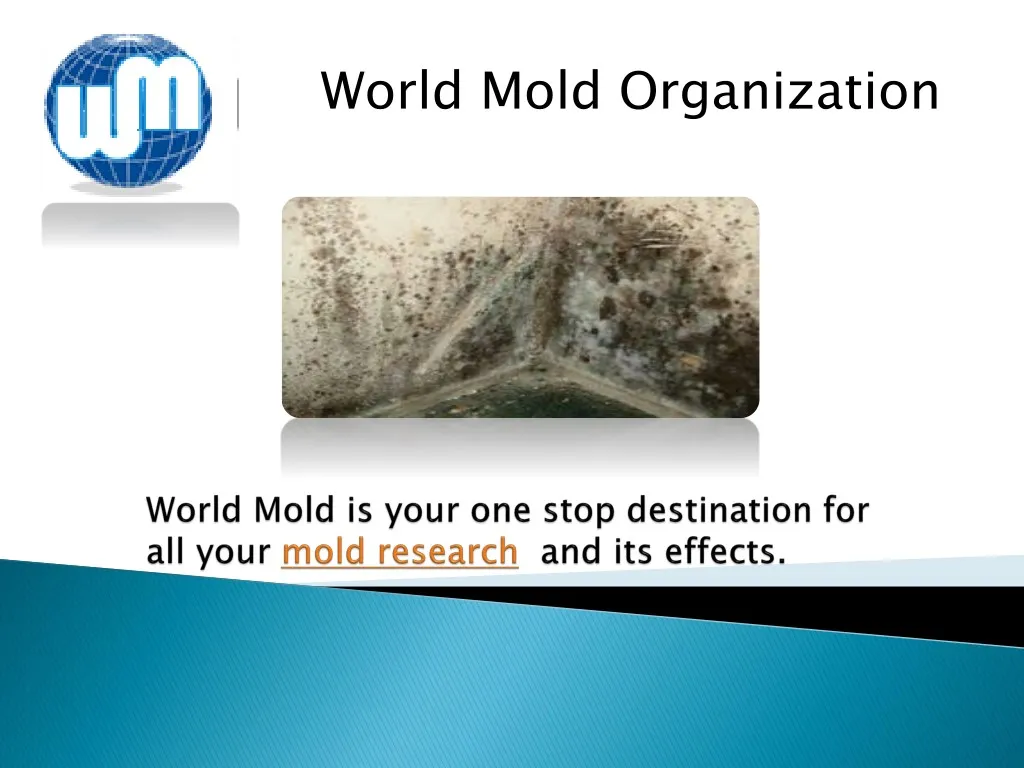 world mold organization