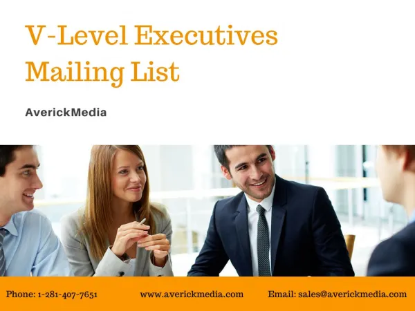 V Level Executives Mailing List