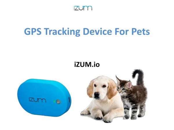 GPS Tracking Device For Pets By iZUM