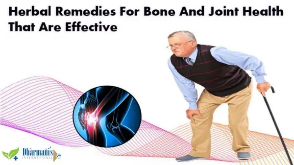 Herbal Remedies For Bone And Joint Health That Are Effective