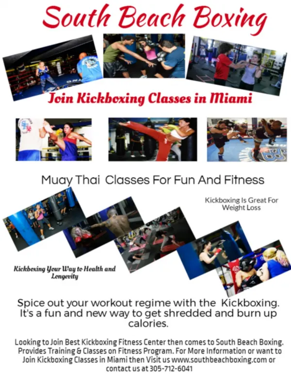 Join Best Miami Beach Boxing Gym