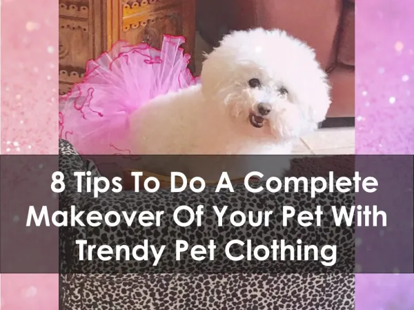 8 Must-Follow Tips To Do A Complete Makeover Of Your Pet's Clothing