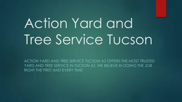 action yard and tree service tucson